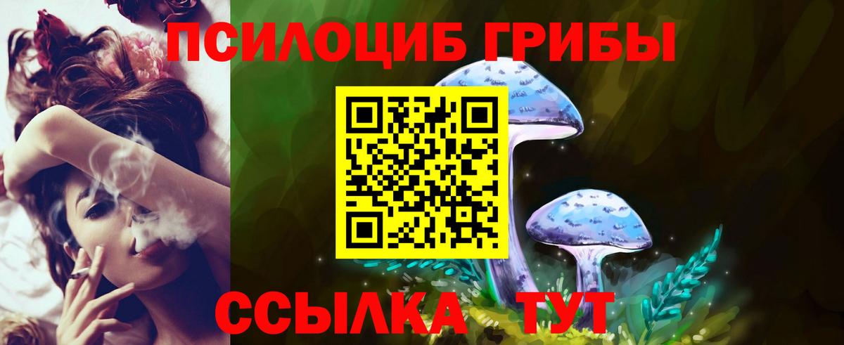 Александров  Галлюциногенные грибы мицелий  Вход с VPN  Галлюциногенные грибы Magic Shrooms 
